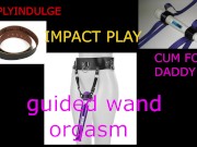 GUIDED ORGASM WITH A WAND (AUDIO ROLEPLAY) INTENSE GUIDED ORGASM.GRAB YOUR WAND 16/16
