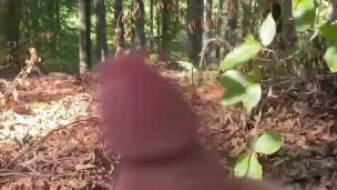 jerkoff