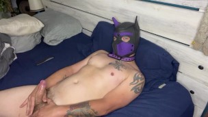Pup cum solo