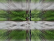 Come on guys... mommy is hungry for cum! 11/16