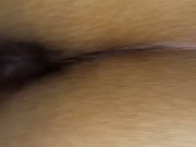 Polla jugosa en concha rica 2/16