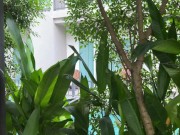 Забрался в окно к незнакомке, пока она отдыхала и трахнул её - Screenshot 5 of 16 - Cream Pie