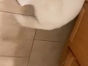 Wife bounces on dildo on wall 16/16