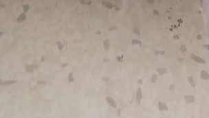 A nice relaxing pee on the wall and floor