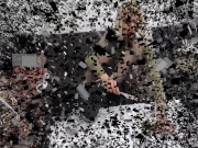 blond teen domina order boot cleaning 1/16