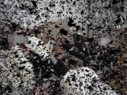 pantyhose pussy worship 1/16