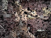 buero dominant licking 1/16