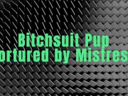 Pup bitch tortured by mistress 1/16