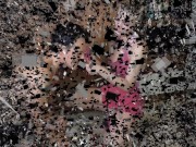 brat princess order him to worship her heels solo 1/16