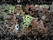 heel cleaning in buero 1/16