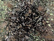 heel cleaning in buero 15/16