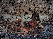 bikini girl bath shoes worship 2/16