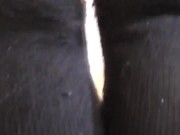 inhale deeply my stinky feet 15/16