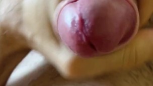 hard dick after sexy dream - help me cum