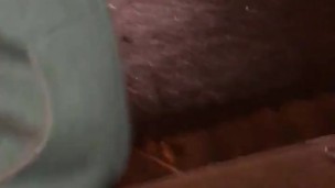 Young bull shows off fat dick