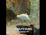 92 public beach asian milf nude boob massage and huge cumshot OnlyFans @ Appleliu-76 5/16