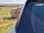 Ja po prostu lubię sex 1/16