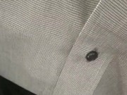 【NTR不倫愛欲SEX】隣の美人妻とNTR不倫セックス♡声を出してはいけないのに…背徳感を感じて喘ぎ声が漏れて理性が崩壊し彼の中で孕んで絶頂を迎える【 3Dサウンド/バイノーラル】 8/16