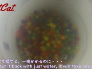 Puyo Puyo ball foreign body insertion of pussy ぷよぷよボールでおまんこ異物挿入オナニー 1/16