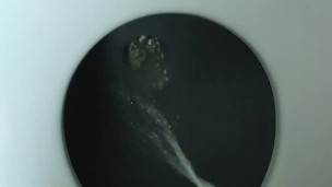 Pissing on the plane