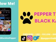 Audio: ASMR Kitten Grooming 16/16