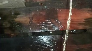 Peeing off the steps