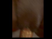 Destroyed by bull 4/16