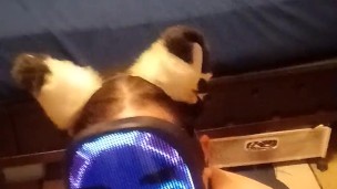 Kitty play time