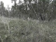 Mature girlfriends from Lesyanka are having fun in the forest. - Screenshot 1 of 16 - HD