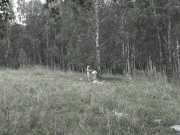 Mature girlfriends from Lesyanka are having fun in the forest. - Screenshot 7 of 16 - Butt