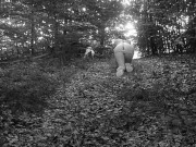 TRAIN MY SLUT TO BE GOOD ON DOG LEASH TOTALLY NAKED IN THE WOODS 2/16