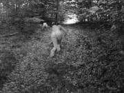 TRAIN MY SLUT TO BE GOOD ON DOG LEASH TOTALLY NAKED IN THE WOODS 3/16