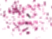 GIRLSRIMMING - Clashing Interests 14/16