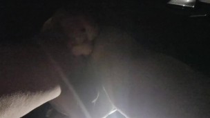 Public dildo fun
