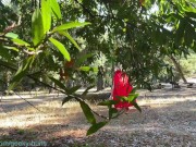 Little Red savaged by the Big Bad Wolf, sucks his cock and gets a facial 2/16