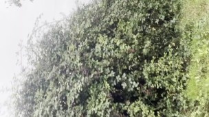 Risky public masturbation in lingerie. Public wank. Risky wank. Public cumshot. Risky cumshot. Sissy