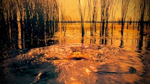 Bathing naked. 4К.
