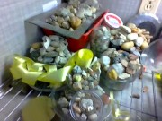 yard part two i think or accidental upload 11/16