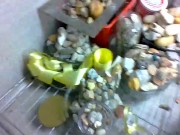 yard part two i think or accidental upload 13/16