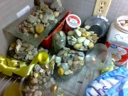 yard part two i think or accidental upload 5/16