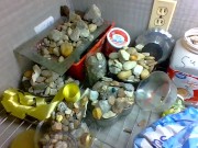 yard part two i think or accidental upload 7/16