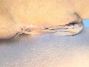 Housewife anal obsession 14/16