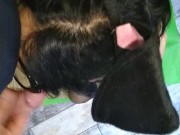 Bunny step mom showing her blowjob skills 12/16