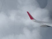 Рискованный публичный минет в самолете - нас спалили! 2/16