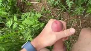 In the forest