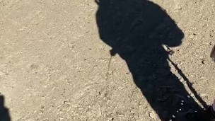 You know you hydrated when your shadow has to stop to pee