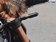 Here comes the sun 11/16