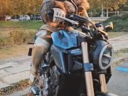 Here comes the sun 9/16