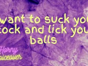 Audio Only: ASMR Blowjob~Suck Cock and Lick Balls~Female Moans~Orgasm guaranteed!