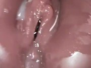 Third Time Cumming Today 12/16